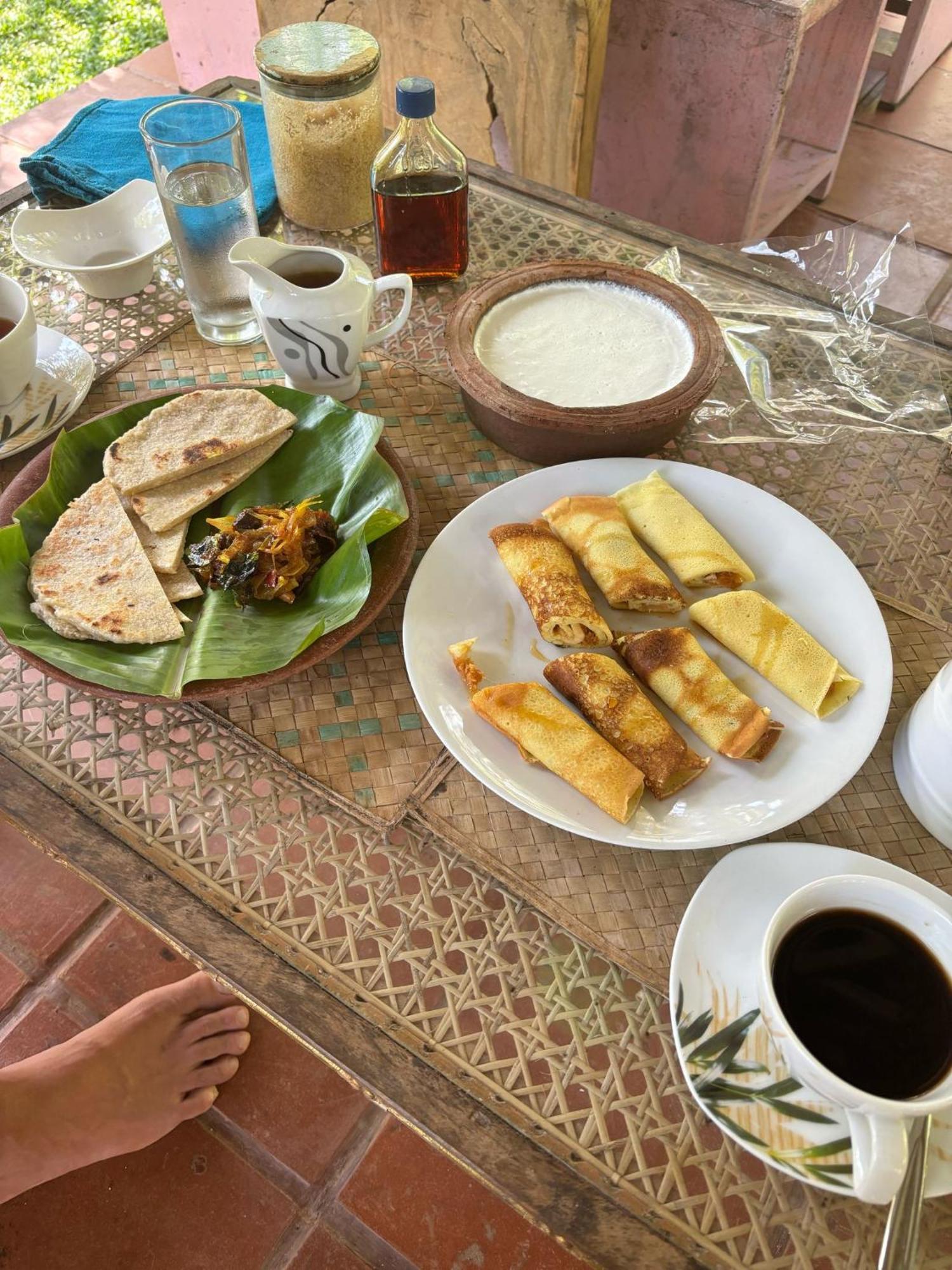 Villa Ovita 탈페 외부 사진