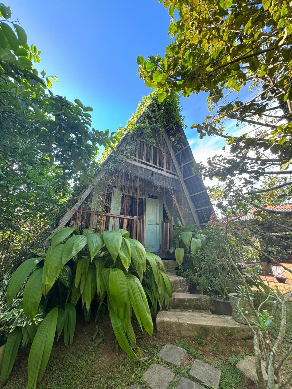 Villa Ovita 탈페 외부 사진