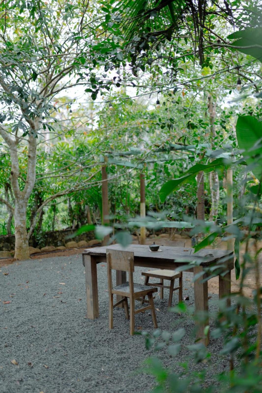 Villa Ovita 탈페 외부 사진